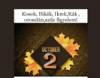 Óriási változást hoz a holnapi nap! Kos - Bika - Ikrek-Rák-Oroszlán-Szűz-Mérleg-Skorpió-Nyilas-Bak - Vízöntő - Halak figyelem!Hatalmas változást hoz a MAI nap!MAI horoszkóp (CSÜTÖRTÖK)