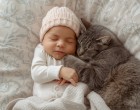 Egy anya, egy beteg kisfiú és a macska, akitől mindenki félt – most már mindenki érti, miért nem engedte el