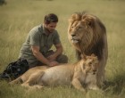 Egy férfi az életét kockáztatta, hogy segítsen egy oroszlánanyának világra hozni a kicsinyét — és olyasmit látott, amitől mindenkinek elállt a lélegzete.