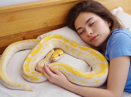 A lány, aki együtt aludt a pitonjával – a titok, amit végül megtudott, mindenkit megrázott