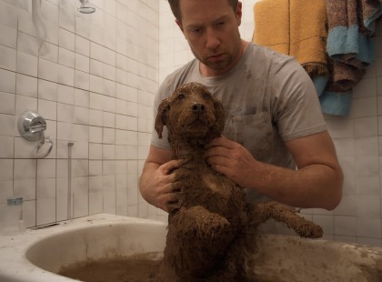 Azt hittem, csak egy elhagyott kiskutyát mentek meg… de amit otthon felfedeztem, örökre megváltoztatott mindent ??