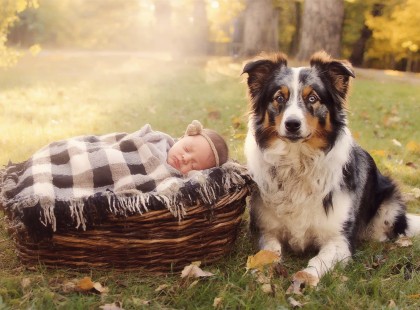 Hallottam, hogy a kutyám őrülten ugatott a kertben – amit ott találtam, attól szó szerint elakadt a lélegzetem