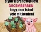 Ennek a 3 csillagjegynek olyan szerencséje lesz decemberben, hogy nem is tud vele mit kezdeni!