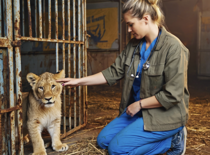 Mindenki sírt, amikor a halál szélén lévő kölyök először dorombolt