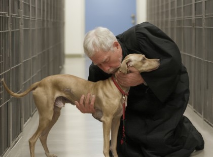 Gyere, most már én vigyázok rád – egy budapesti bíró csodája
