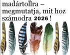 Bökj a legszebb madártollra – megmutatja, mit hoz számodra 2026!