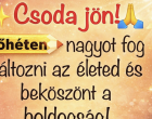 ✨Csoda jön!🙏 Jövőhéten nagyot fog változni az életed és beköszönt a boldogság! Ámen 🍀👇