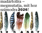 Bökj a legszebb madártollra – megmutatja, mit hoz számodra 2026! Cikk a hozzászólásoknál >>>