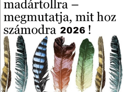 Bökj a legszebb madártollra – megmutatja, mit hoz számodra 2026!