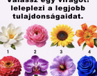 🌸 **Ne Csalj: Válassz egy virágot! Leleplezi a leghitelesebb tulajdonságaidat**