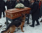 A kutya furcsán viselkedett a temetésen – az igazság, amit felfedett, hátborzongató