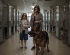 Két megtört szív találkozása: a vak lány és a kiselejtezett rendőrkutya története bejárja az országot