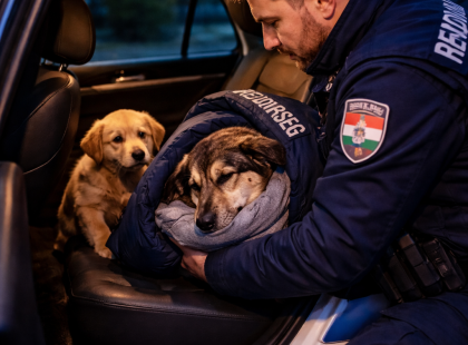 A haldokló kutya már feladta volna – de a kölyke nem hagyta, hogy meghaljon