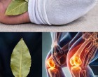 Tedd a babérlevelet a zoknidba, és figyeld, mi történik a testeddel! – Ezt a módszert még az orvosok is elismerik! 😲🍃