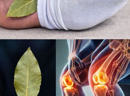 Tedd a babérlevelet a zoknidba, és figyeld, mi történik a testeddel! – Ezt a módszert még az orvosok is elismerik! ??