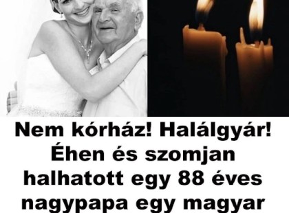 Nem kórház! Halálgyár! Éhen és szomjan halhatott egy 88 éves nagypapa egy magyar kórházban Részletek kommentben ?