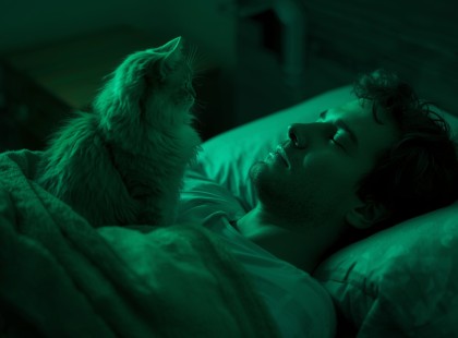 A macska viselkedése halálra rémisztett éjjel – aztán megnéztem a videót, és kiderült az igazság