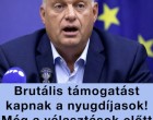 🔴 Brutális támogatást kapnak a nyugdíjasok! – Mutatjuk, kik és mire igényelhetik 💥 👇𝐂𝐢𝐤𝐤 𝐚 𝐡𝐨𝐳𝐳𝐚́𝐬𝐳𝐨́𝐥𝐚́𝐬𝐨𝐤𝐧𝐚́𝐥!