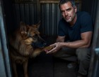 „Ő kell nekem!” – a férfi a menhely legreménytelenebb kutyáját választotta, a történet vége mindenkit megrázott