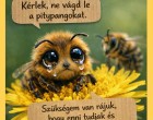 A pitypang: a méhek első tavaszi tápláléka