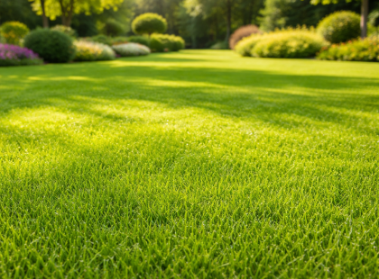 Sűrű, zöld pázsit egyszerűen: a profi kertészek 3 legfontosabb titka