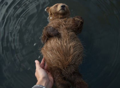 Soha nem felejtem el azt a hangot a hátam mögött… így kezdődött a legfélelmetesebb napom Erdélyben!