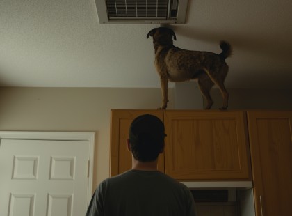 A kutyája viselkedése őrültségnek tűnt– amikor megnézte, miért, leesett az álla