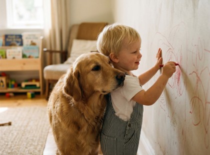 A világ legaranyosabb bűntársa: így állt ki a kutya a rosszaságot elkövető kisfiú mellett!