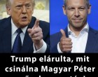 Trump megszólalt: ezt mondta egy esetleges magyarországi kormányváltásról