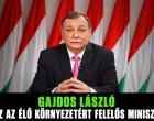 Gajdos László berobbant: az állatkert éléről a miniszteri szék felé
