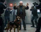 Bankrablás közepén történt meg a hihetetlen: a rendőrkutya nem támadt, hanem védett