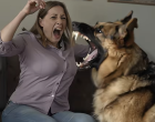 🐾 Megmentettem egy kóbor kutyát – de néhány nap múlva olyasmit éltem át, amit sosem felejtek el 😲🫣 Egész életemben azt hallottam, hogy aki tud, segítsen. Legyen szó emberről vagy állatról, a jószív sosem marad viszonzatlanul – legalábbis ezt tanították nekem. Sokáig hittem is benne. Aztán jött az a bizonyos este, amikor minden megváltozott. Hazafelé vezettem a főúton, már sötétedett, a lámpák fényében megcsillant valami az út szélén. Lassítottam, és akkor megláttam őt: egy nagy testű, fekete-barna kutya gubbasztott a hideg aszfalton. Úgy nézett rám, mintha csak segítséget kérne. – Hát te mit keresel itt, pajtás? – szóltam ki az ablakon. A kutya megemelte a fejét, és halkan nyüszített. Megálltam, kiszálltam, óvatosan közelebb léptem. – Ne félj… nem bántalak – mondtam halkan, és kinyújtottam a kezem. Meglepetésemre odasétált, és leült a lábamhoz. A szeme tele volt bizalommal, pedig látszott rajta, hogy napok óta nem evett. – Te aztán jól megjártad, öregem – sóhajtottam. – Gyere, hazaviszlek. Így került hozzám Brúnó. Otthon a szomszédasszony, Ilonka néni, rögtön megállt a kapuban, mikor meglátta. – Ádám fiam, hát nem félsz, hogy rád hoz valami nyavalyát az a dög? – csóválta a fejét. – Nézzen csak rá, néni! – feleltem mosolyogva. – Ez a kutya csak éhes és fázik, semmi baja. Brúnó az első nap mintaszerű volt. Felfalta a maradék pörköltet, majd a bejáratnál elnyúlt, és olyan békésen aludt, mint egy gyerek. Ahogy néztem, valami melegség töltött el: „Na, talán ma tényleg tettem valami jót.” Csakhogy pár nappal később furcsa dolgok kezdődtek. Először csak annyit vettem észre, hogy nem iszik. A tál mindig tele maradt. – Mi van, nem ízlik a csapvíz? – nevettem, de a nevetésem gyorsan elhalt. Másnap Brúnó ideges lett. Futkározott a házban, kaparta az ajtót, és hirtelen megállt, mintha valami láthatatlan zajt figyelne. – Mi az, öregem, mit látsz? – kérdeztem tőle, de csak a csend válaszolt. Néha hosszasan bámult rám, feszült tekintettel, mintha próbálna mondani valamit. Éjszaka többször felriadtam, mert a semmibe morgott, vagy körbe-rohangált, mintha üldözné valami. Reggel fáradtan ültem a konyhában, amikor Ilonka néni átkiabált a kerítésen: – Ádám, jól van az a kutya? Egész éjjel ugatott! – Csak szokatlan neki az új hely – feleltem, de magam sem voltam biztos benne. – Talán fél? – gondolkodtam hangosan. – Vagy a régi gazdáját keresi? Megnyugtattam magam, hogy majd idővel elmúlik. De aztán eljött az a reggel, amikor valami történt… olyasmi, ami felforgatta az egész életemet. 😱😱 👉 Folytatás az első hozzászólásban! 👇👇