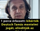 Most érkezett: kikérték Deutsch Tamás mentelmi jogát, Magyar Péter édesanyja feljelentése állhat a háttérben