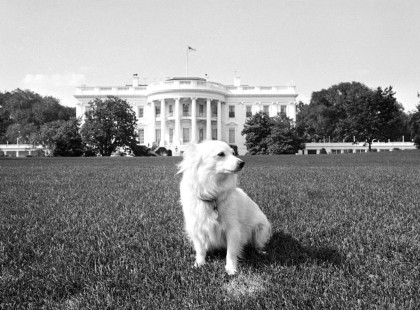 Ajándék érkezett a Szovjetunióból a Fehér Házba… egy kiskutya