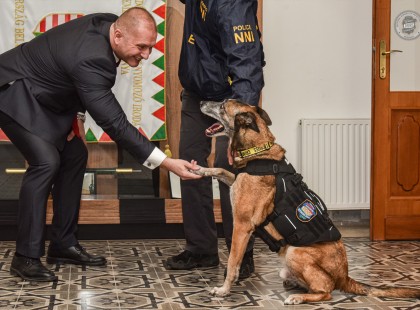 Egy hős négylábú búcsúja: Tico története