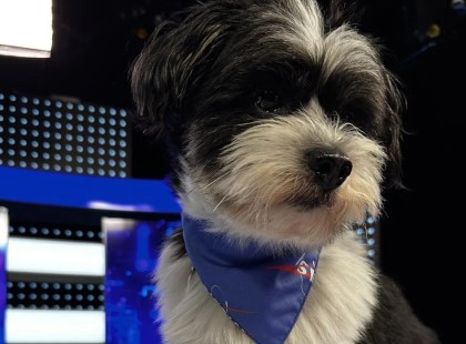 Karcsika szívét elrabolta Mimi – rózsaszín köd szállt le a Heti Napló szerkesztőségére