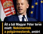 Áll a bál Magyar Péter terve miatt:ekimentek a polgármesterek, amiért csökkentené a fizetésüket!