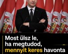 Most ülsz le, ha megtudod, mennyit keres havonta Toroczkai László! Kiderült, pontosan mennyi jár a Mi Hazánk frakcióvezetőjének