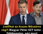 Leállhat az összes Mészáros cég?! Magyar Péter EZT tette - Döbbenetes, ami most történik: