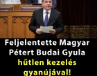 Budai Gyula fideszes képviselő büntetőfeljelentést tett a Tisza Párt elnöke ellen. Cikk a hozzászólásoknál! >>>