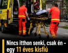 11 évesen hőssé vált: így mentette meg nagyapját egy szombathelyi fiú