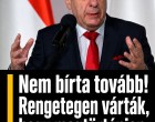 Sulyok Tamás nem bírta tovább! Rengetegen várták, hogy megtörténjen:👇 𝗖𝗶𝗸𝗸 𝗮 𝗵𝗼𝘇𝘇𝗮́𝘀𝘇𝗼́𝗹𝗮́𝘀𝗯𝗮𝗻