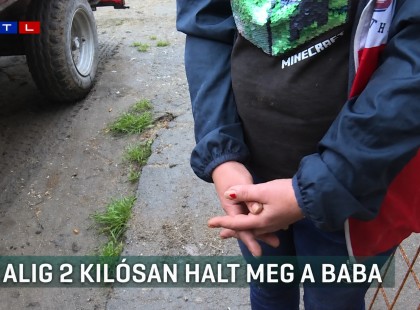 Öt hónaposan, alultápláltan halt meg egy kislány Tarnazsadányban – most áll bíróság előtt az anya