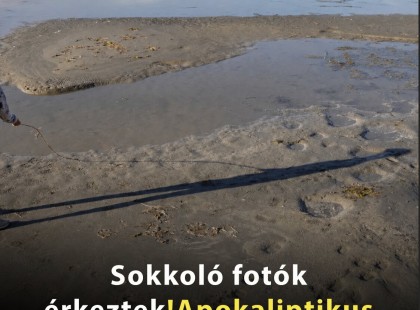 Apokaliptikus képek érkeztek a Balatonról, az Aranypart kiszáradt