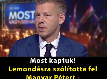 Lemondásra szólították fel Magyar Pétert