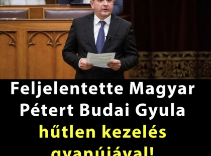 Budai Gyula fideszes képviselő büntetőfeljelentést tett a Tisza Párt elnöke ellen. Cikk a hozzászólásoknál! >>>