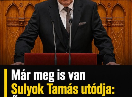 Már meg is van Sulyok Tamás utódja: Ő veheti át a köztársasági-elnök helyét