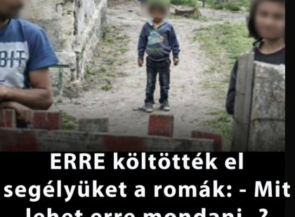 ERRE költötték el segélyüket a romák: - Mit lehet erre mondani..? Sokakat megdöbbentett! ERRE költötték el segélyüket a romák: - Mit lehet erre mondani..?