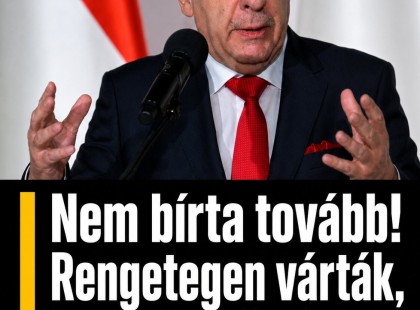 Sulyok Tamás nem bírta tovább! Rengetegen várták, hogy megtörténjen:? ???? ? ?????́???́??́????