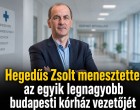 Hegedűs Zsolt menesztette az egyik legnagyobb budapesti kórház vezetőjét